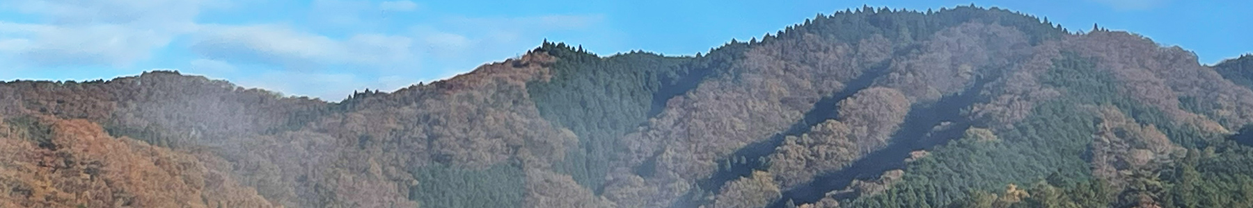 こだわり